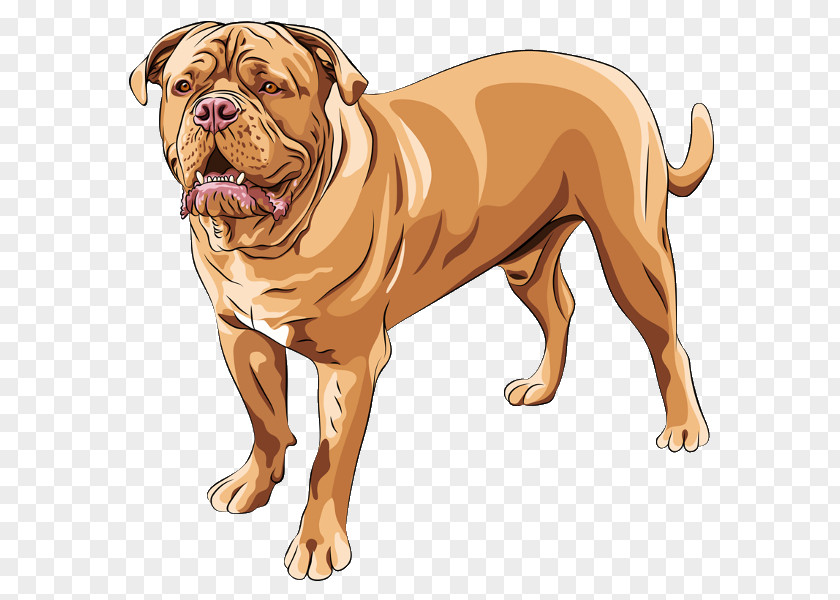 French Bulldog Puppy Cartoon Dogue De Bordeaux English Mastiff Cane Corso Neapolitan PNG