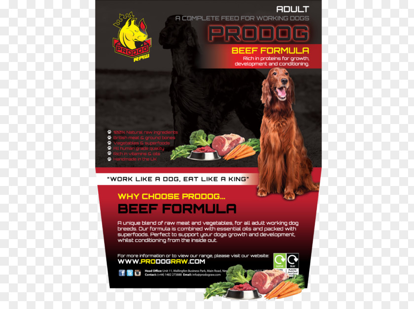 Meat Raw Foodism Shih Tzu Dog Food Feeding Offal PNG