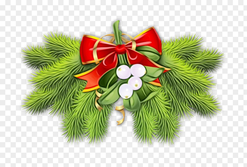 Pine Branch Christmas Decoration PNG