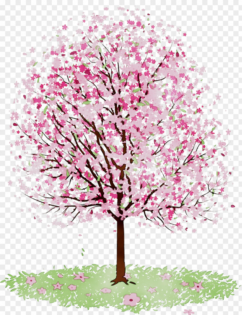 Amazon.com Cherry Blossom Amazon Kindle Fire HDX 7 Olak Alen PNG