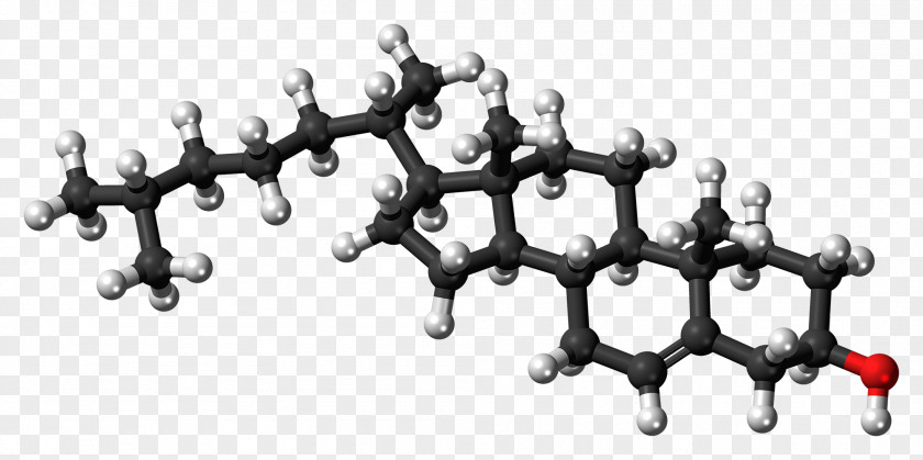 Cholesterol Ball-and-stick Model PubChem Parkinson's Disease Molecule PNG