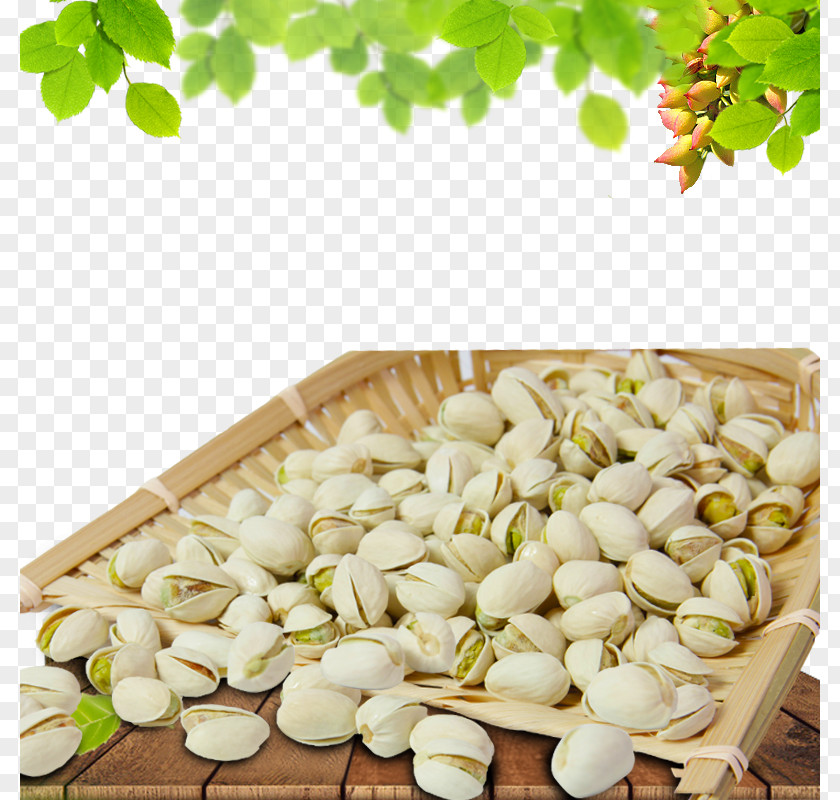 Gifts Pistachios Pistachio Dried Fruit Food Nut Snack PNG
