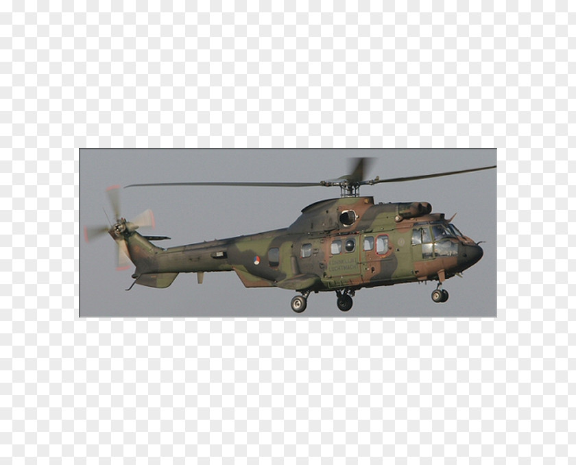 Helicopter Eurocopter AS532 Cougar Royal Netherlands Air Force Military PNG
