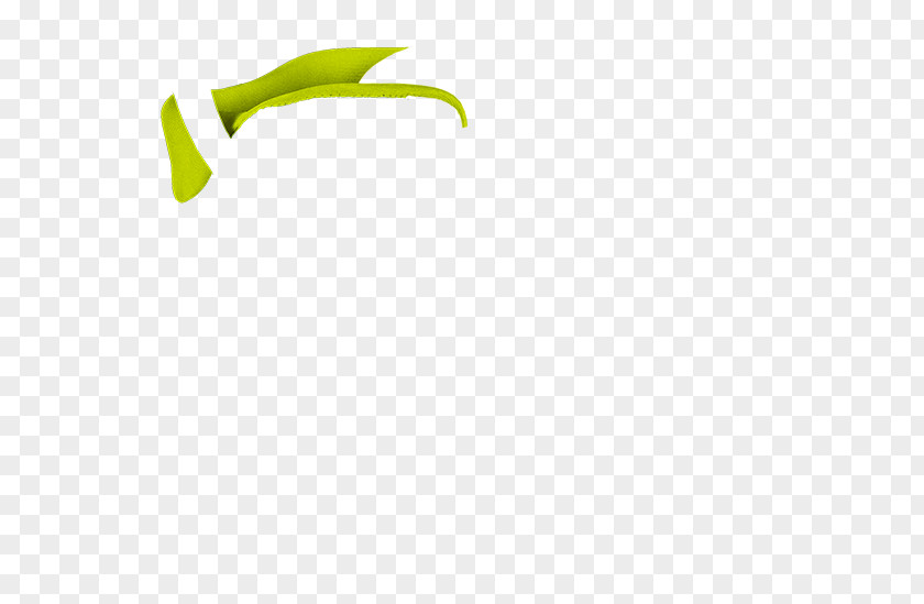 Leaf Logo Font Product Design PNG