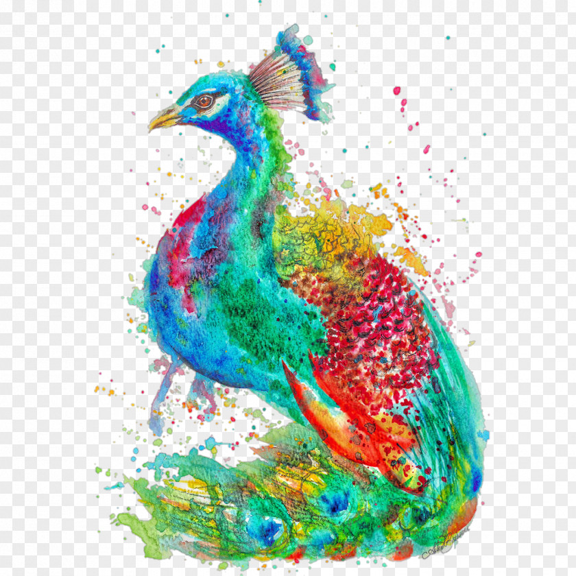Painting Illustration Watercolor Art Peafowl PNG