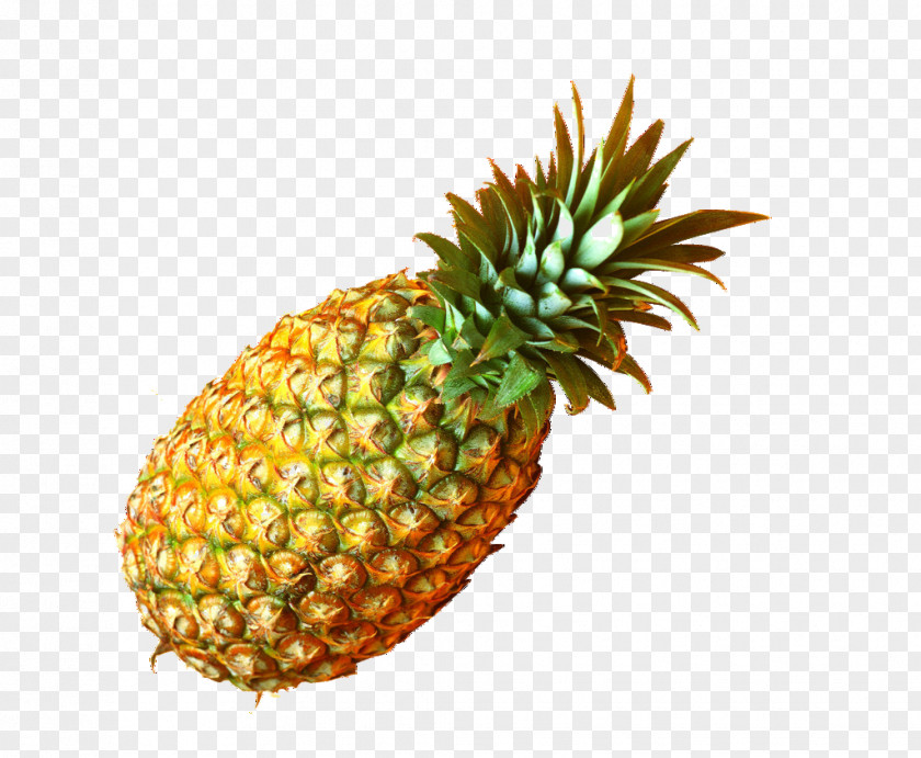 Pineapple Juice Big U53f0u7063u7684u9cf3u68a8 Bromelain PNG