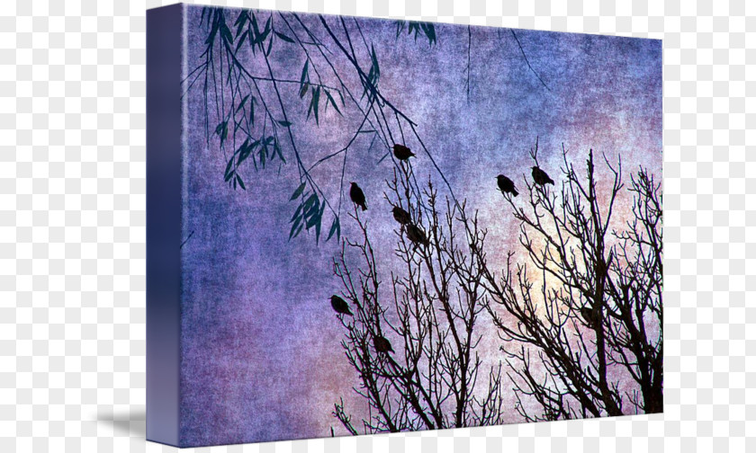 Birds Of A Feather 2 Desktop Wallpaper Plastic Picture Frames Photo Booth PNG