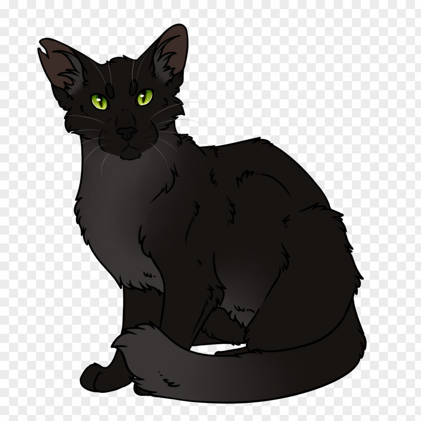 Cat Claw Kitten Korat Black Warriors Whiskers PNG