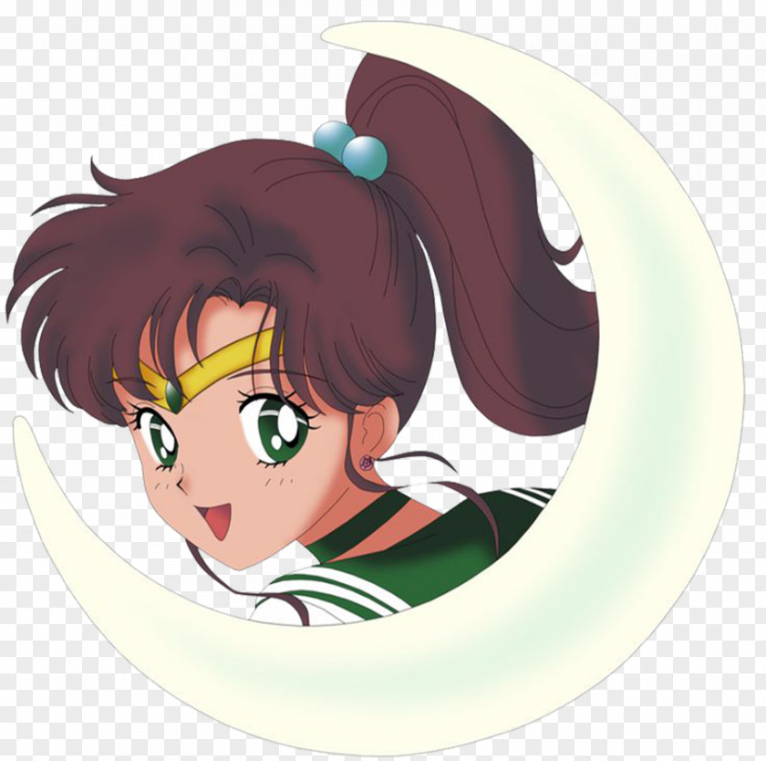 Sailor Moon Jupiter Chibiusa Artemis Luna PNG