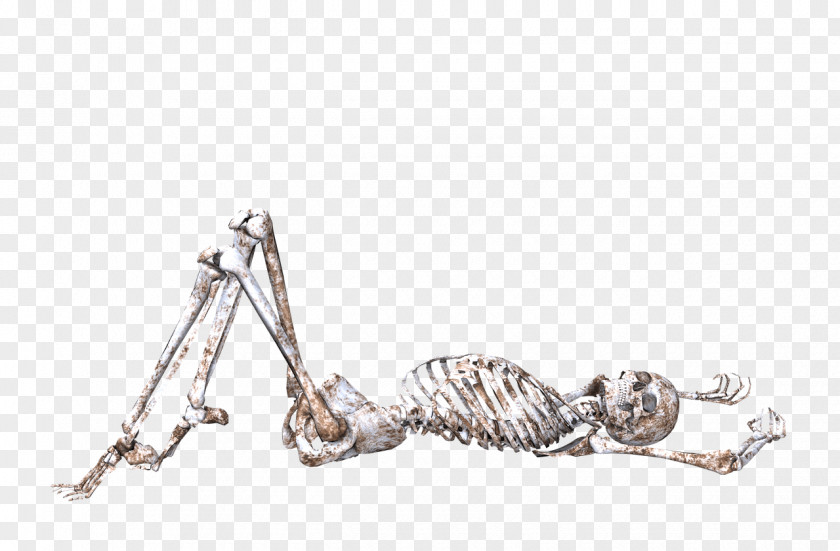 Skeleton Lying On Back PNG on Back, human skeleton illustration clipart PNG
