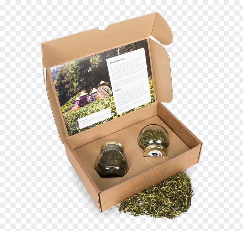 Tea Flowering Kukicha Plant Genmaicha PNG