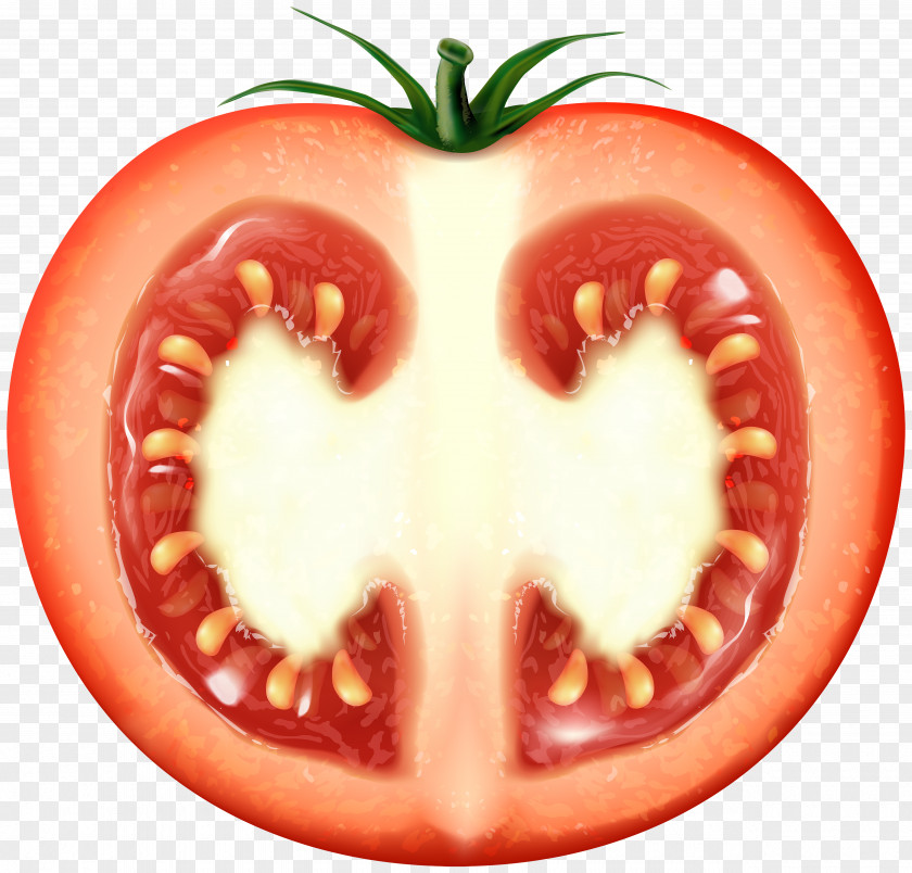 Tomato Ketchup Clip Art PNG