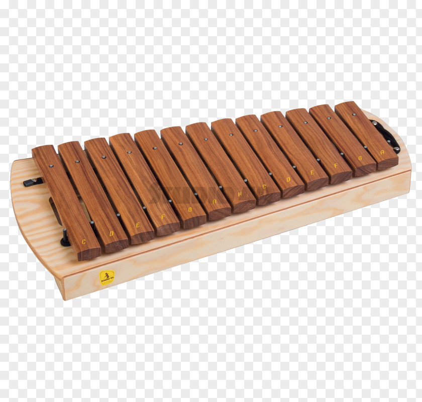 Xylophone Metallophone Orff Schulwerk Musical Instruments Studio 49 PNG