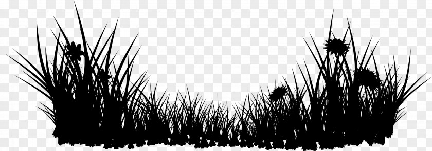 Desktop Wallpaper Computer Grasses Tree PNG