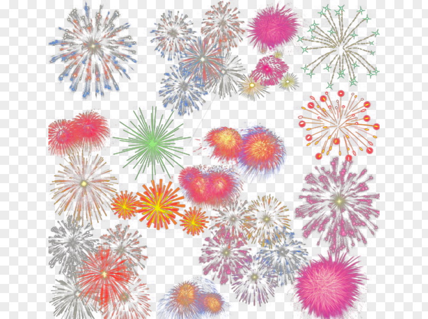 Fireworks Dahlia Floral Design Chrysanthemum Petal Pattern PNG