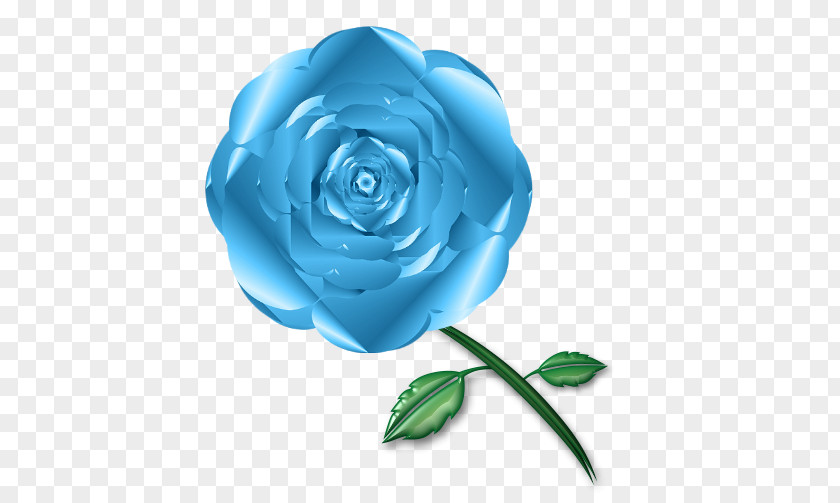 Garden Roses Blue Rose Cabbage Cut Flowers PNG