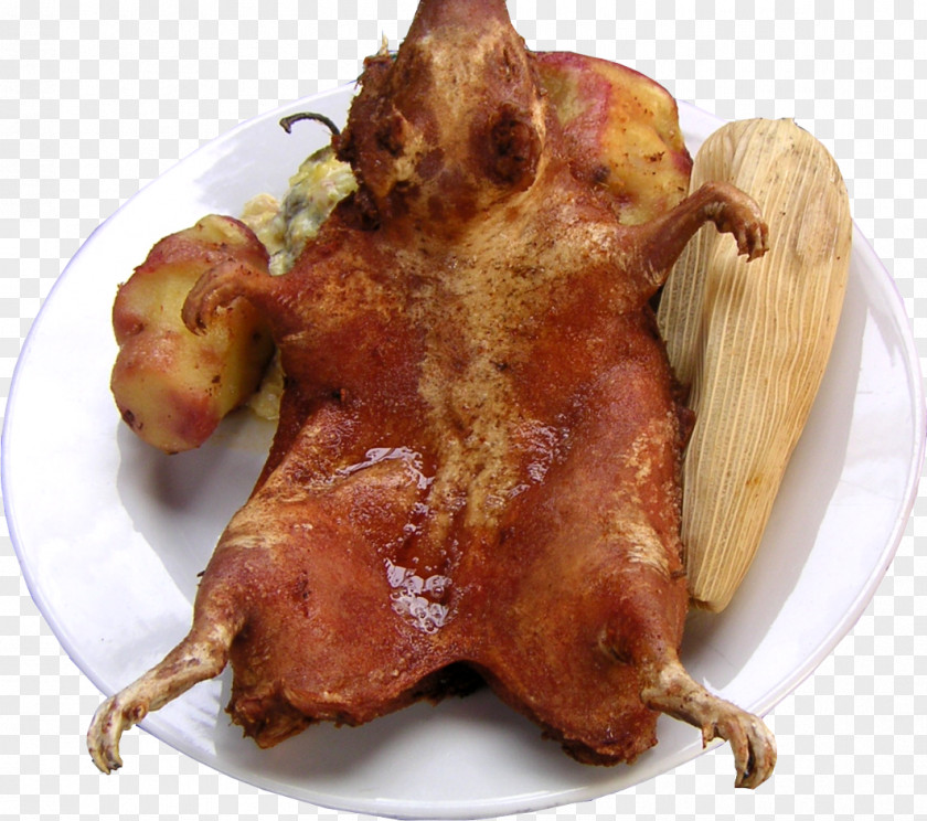 Guinea Pig Peruvian Cuisine Anticucho Cocido PNG