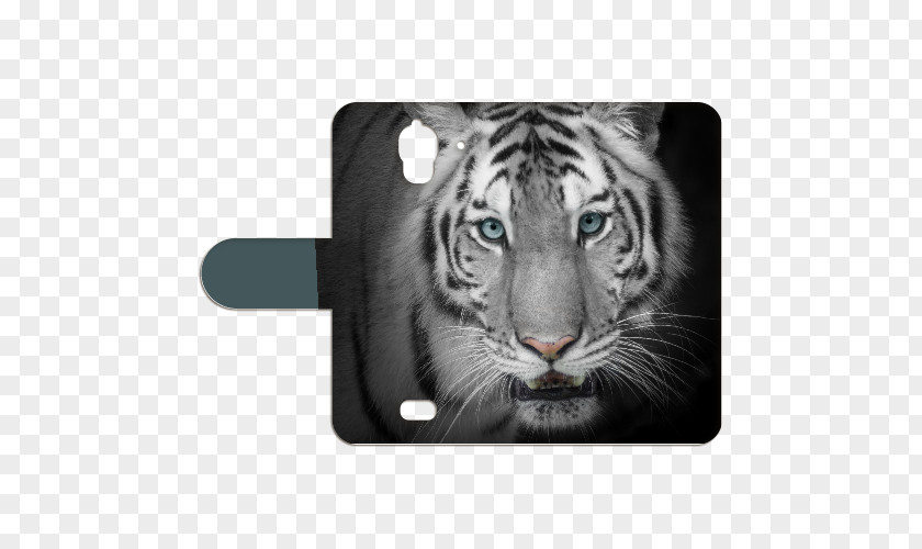 Huawei Y360 Bengal Tiger Video Stock Photography White PNG