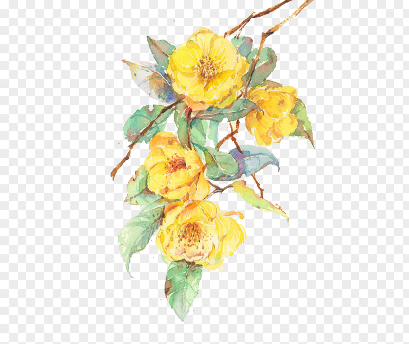 Yellow Flowers Flower Computer File PNG