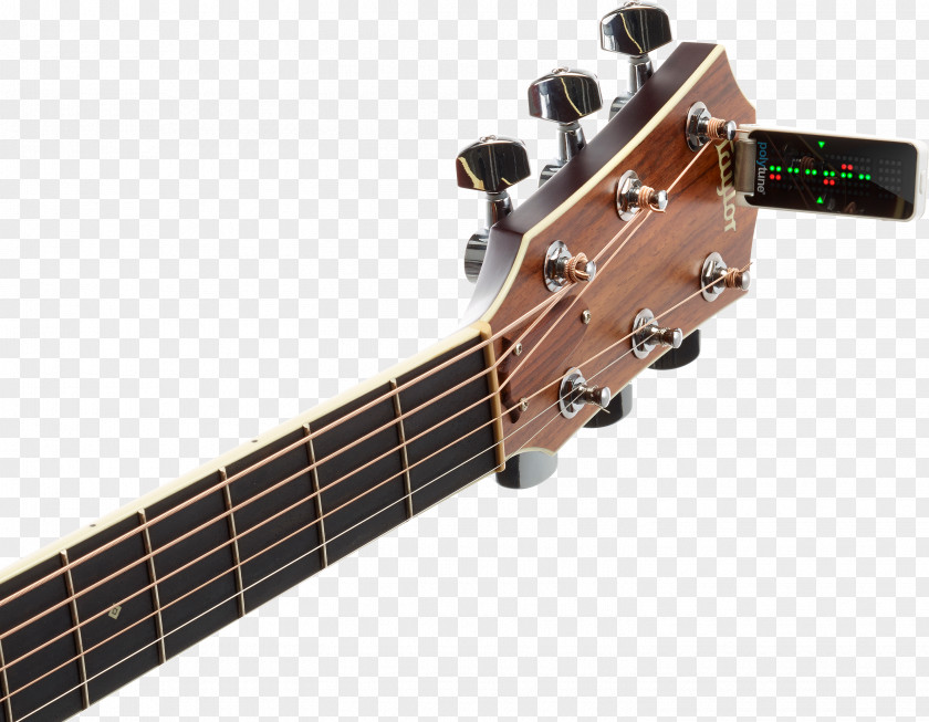 Bass Guitar Electronic Tuner TC Musical Tuning Instruments PNG