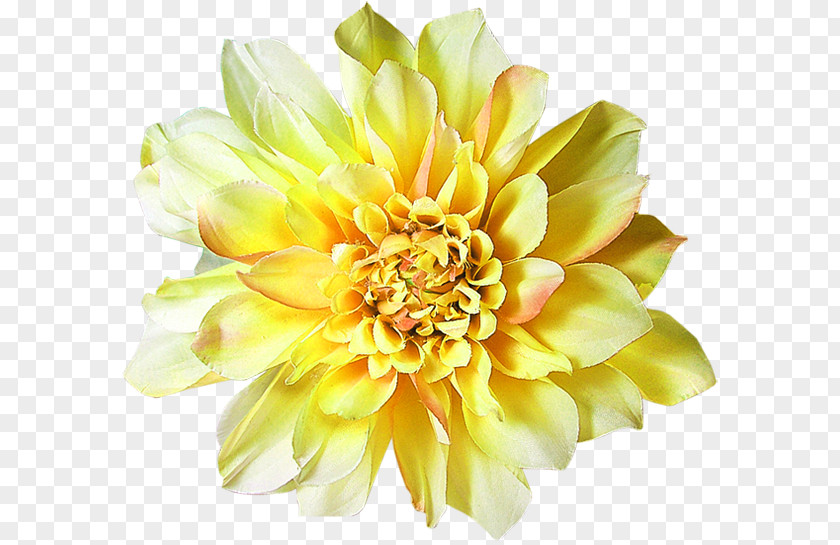 Centerblog Dahlia Floral Design Cut Flowers PNG