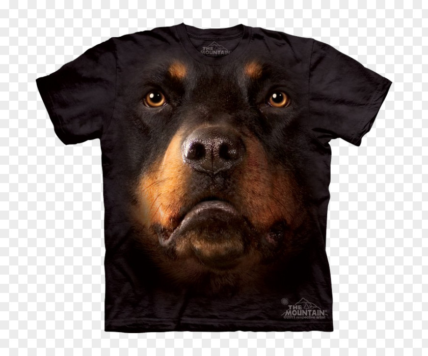 T-shirt Rottweiler Bernese Mountain Dog Divine Dogs Online PNG