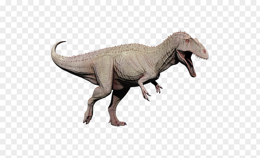 Tyrannosaurus Acrocanthosaurus Extinction Carcharodontosaurus Velociraptor PNG