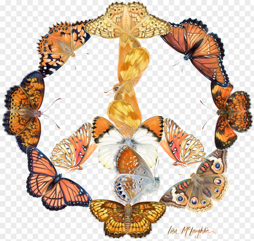 Watercolour Butterfly Monarch Brush-footed Butterflies Insect PNG