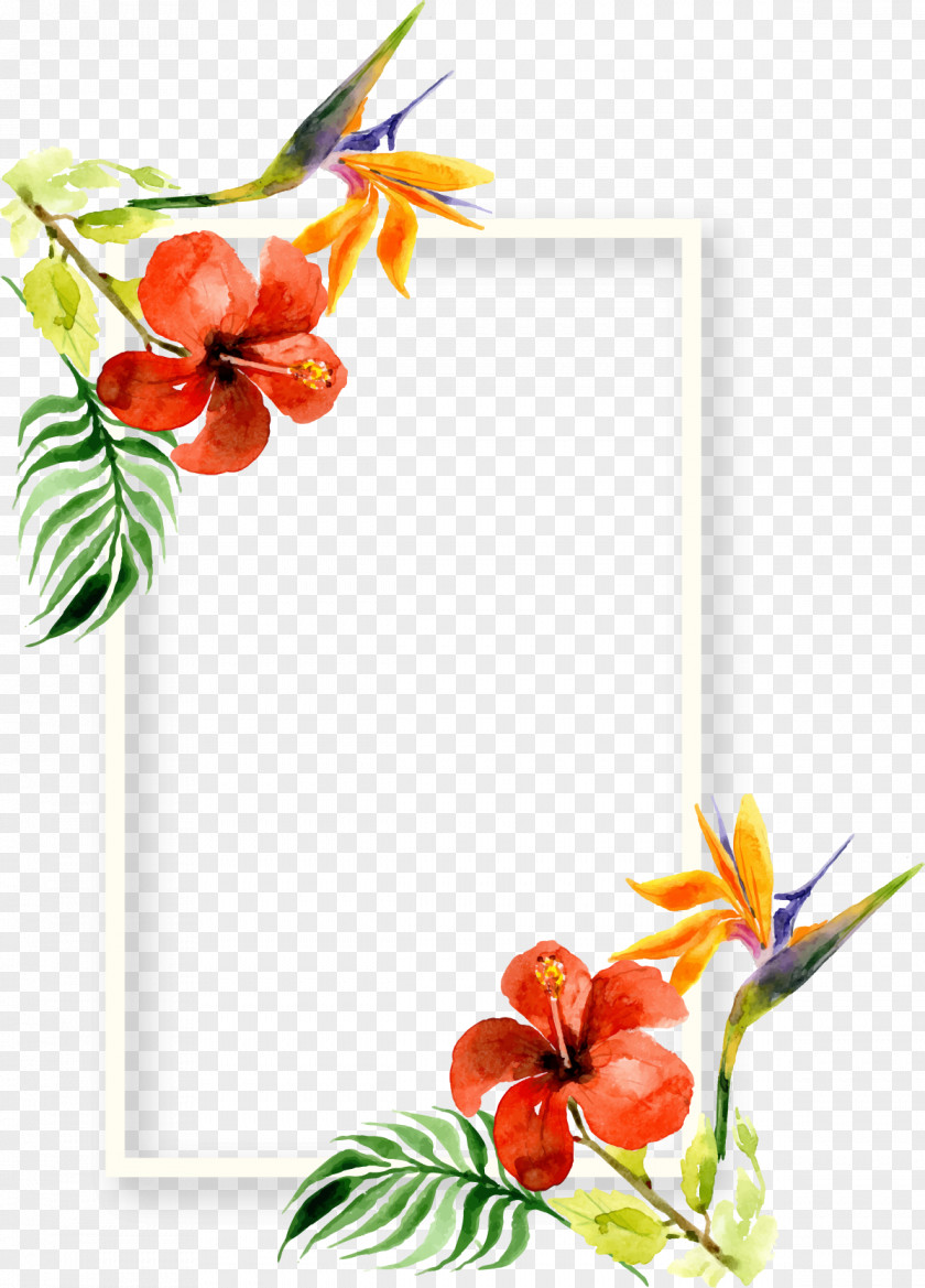 Beautifully Decorated Floral Watercolor Frame Plant Painting Art PNG