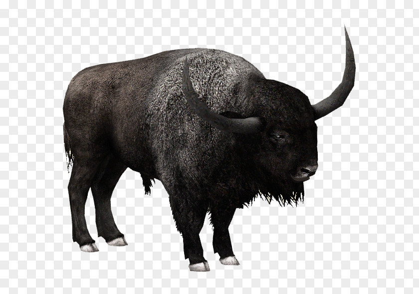 Bison File Zoo Tycoon 2 American Latifrons Water Buffalo FInal Fantasy XV: Episode Ignis PNG