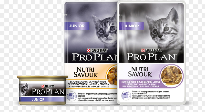 Cat ProPlan Kaps. Junior Krůta 24x85g Kitten Pro Plan Chicken 1.5 Kg Для котят с индейкой PNG
