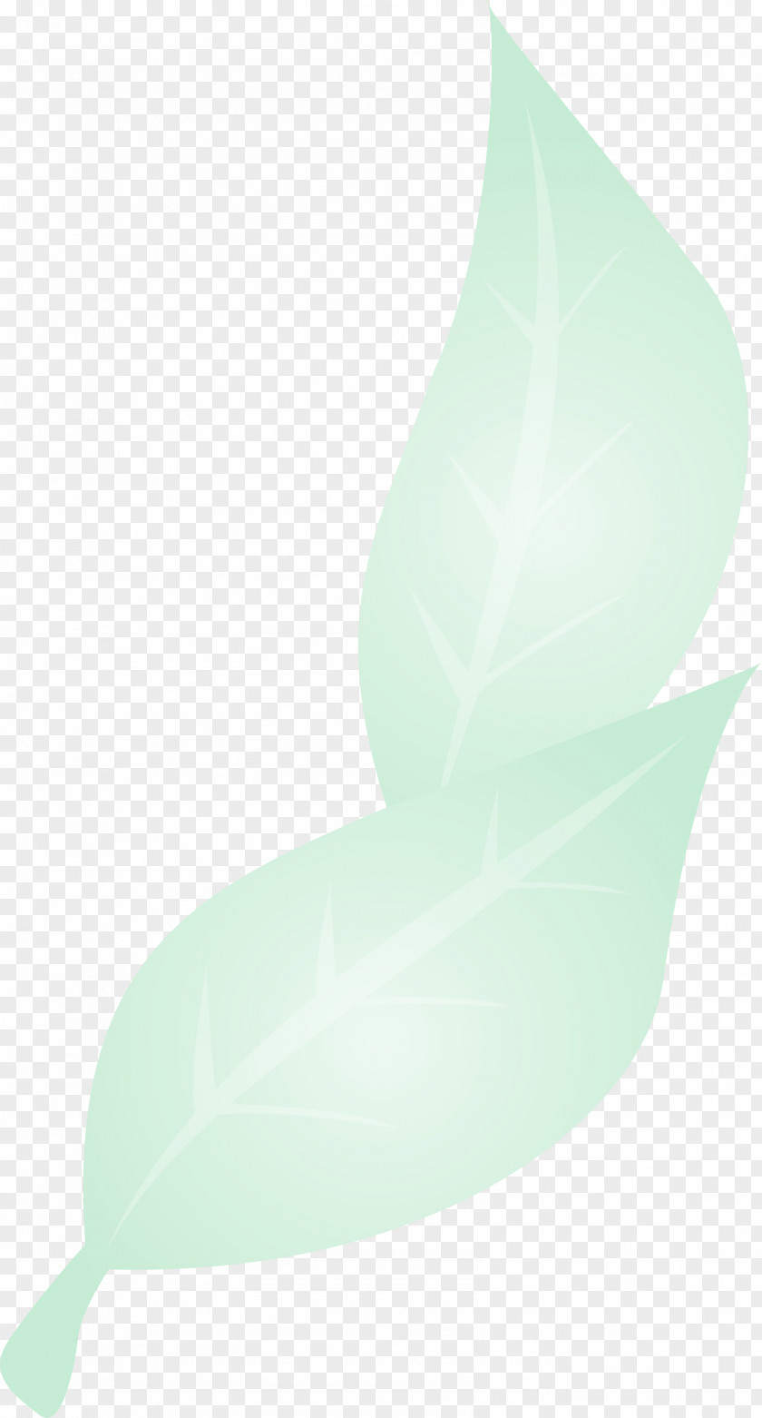 Leaf Green Plants Plant Structure Biology PNG