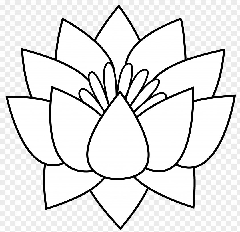 Lotus Blossom Cliparts Line Art Drawing Nelumbo Nucifera Clip PNG