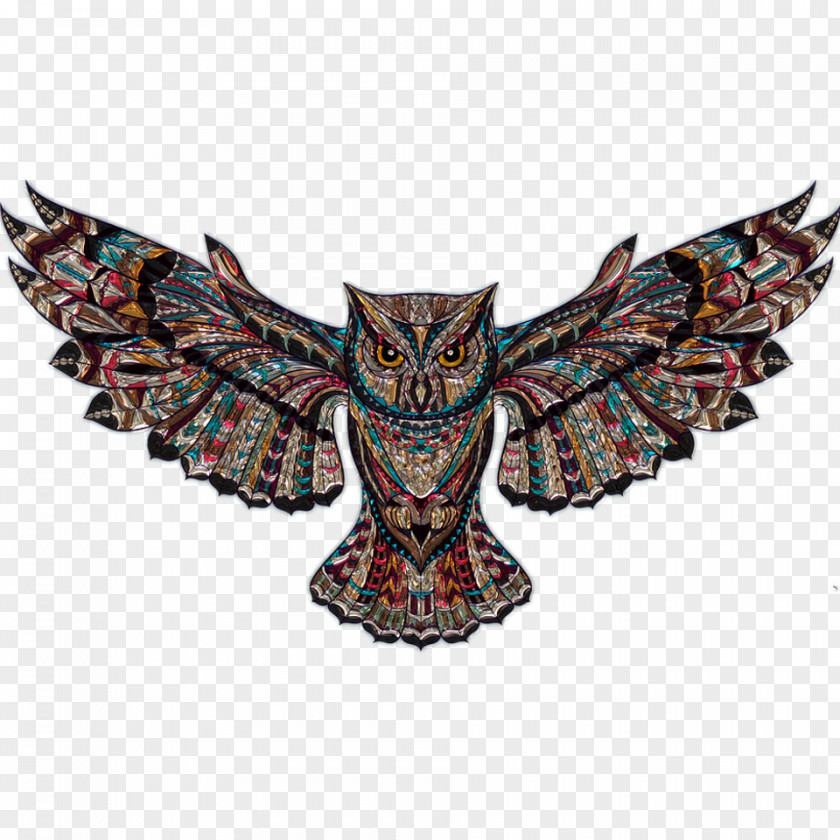 Owl Bird Art Clip PNG