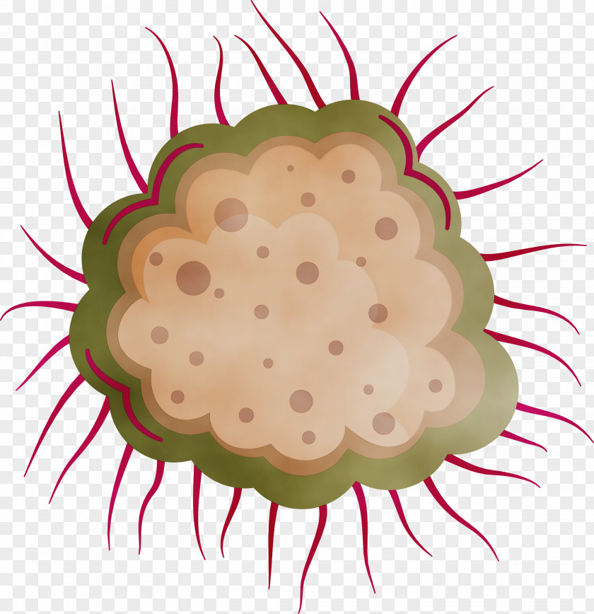 Pollen Plant Fruit Baking Cup PNG