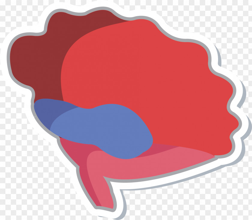 Red Brain Cerebrum Clip Art PNG