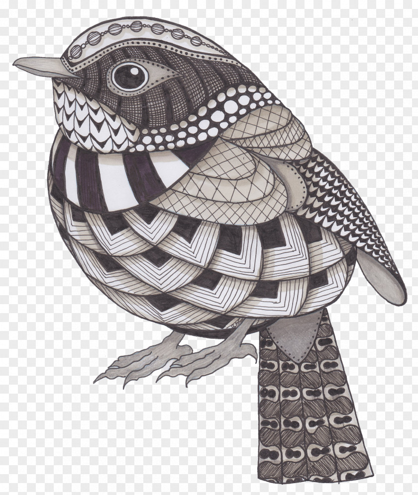 Bird Plane Decoration Painting Owl Drawing Flickr Illustration PNG