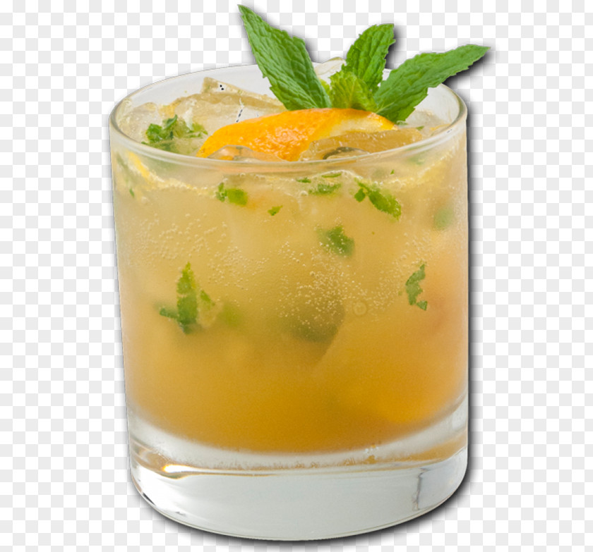 Cocktail Mai Tai Mint Julep Bourbon Whiskey Fuzzy Navel PNG