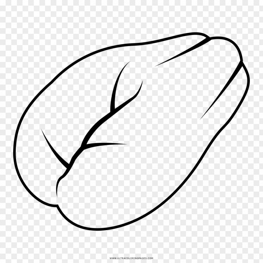 Ear Drawing Coloring Book Line Art Chayote Black And White PNG