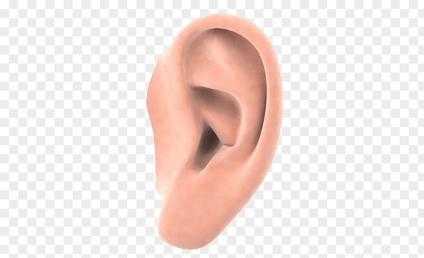 Ear Hearing Microtia Atresia Pediatrics PNG