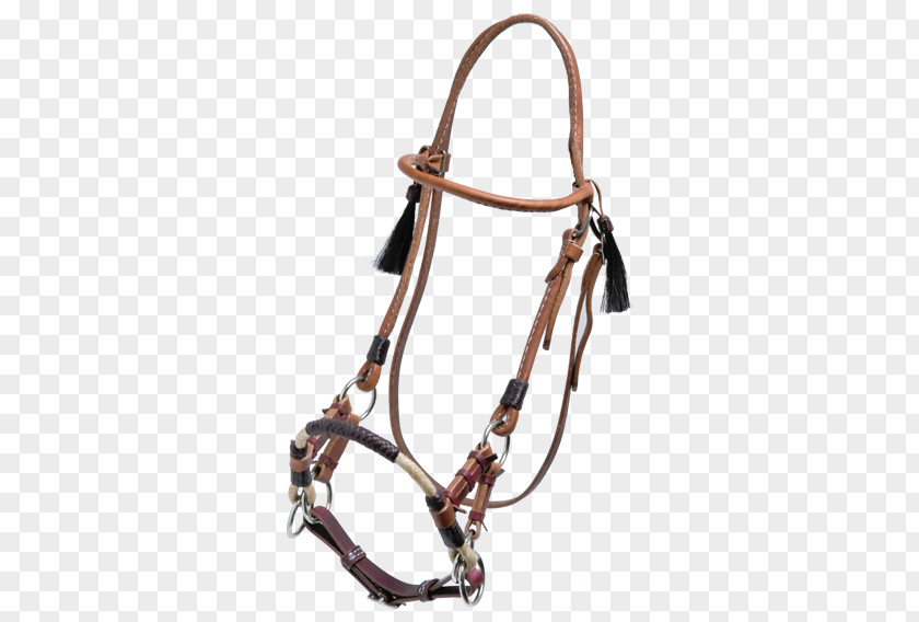 Horse Bridle Equestrian Schönswetter Leather PNG