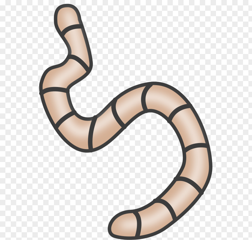 Invertebrate Cliparts Earthworm Clip Art PNG