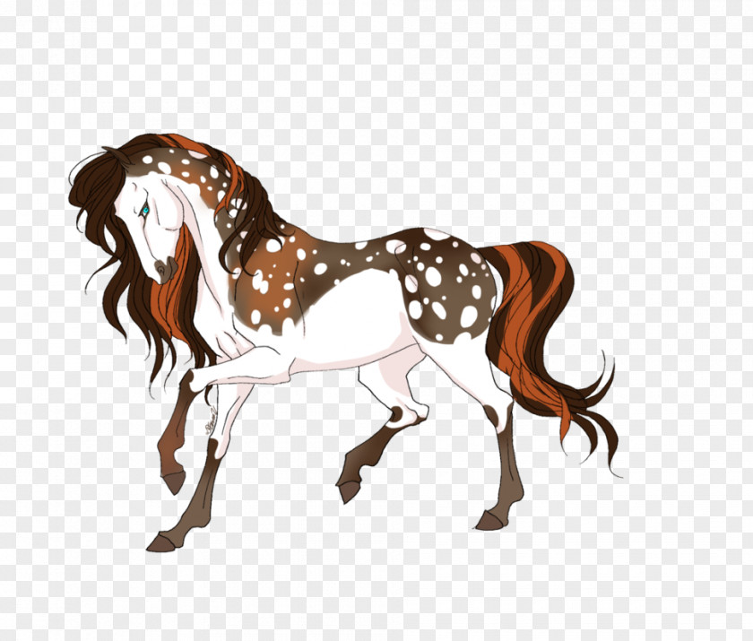 Mustang Pony Stallion Foal Colt PNG