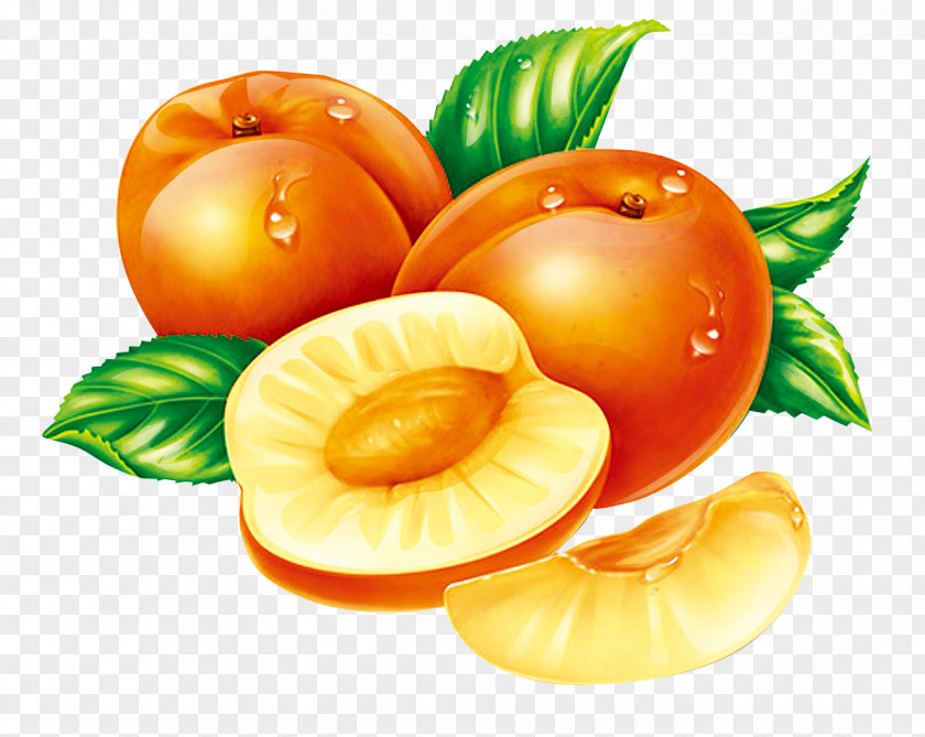 Peach Fruit Dangshan County Apricot Auglis PNG