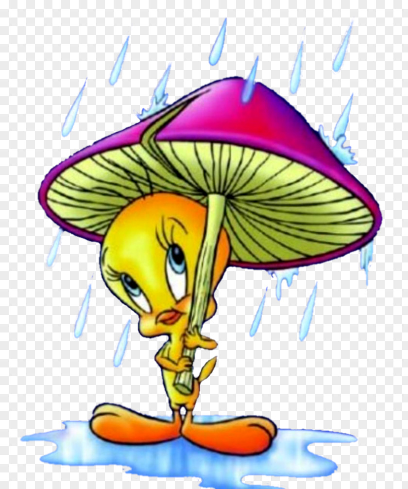 Rain Tweety Cartoon PNG