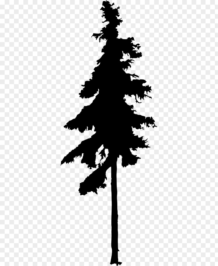 Silhouette Fir Pine Drawing PNG