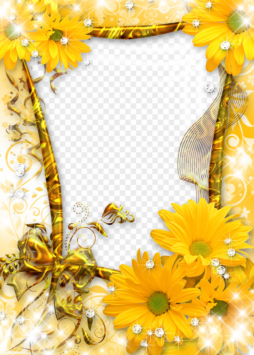 Sunflower Gold Frame Picture Flower PNG
