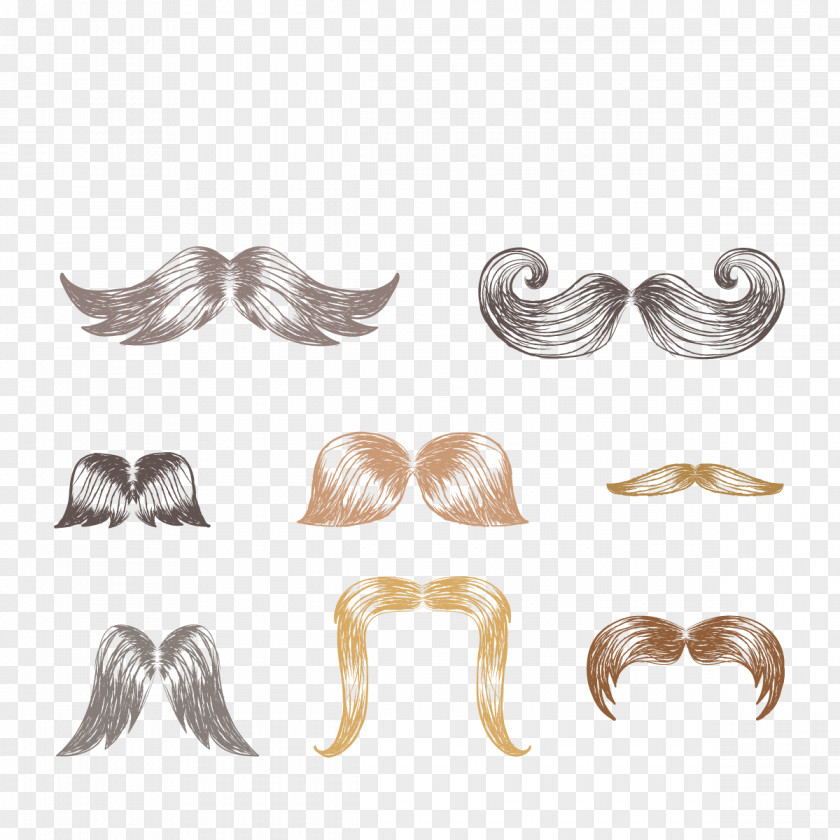 Vector Beard Collection Euclidean Man PNG