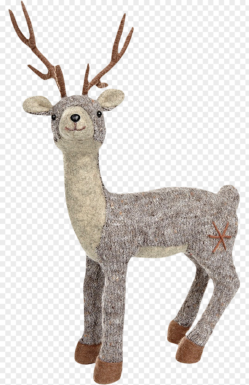 Deer Reindeer Elk Moose Roe Red PNG