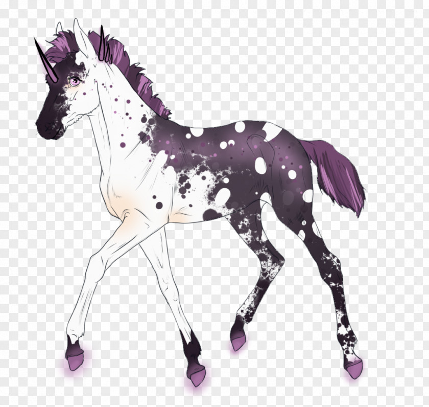 Glowing Halo Foal Mustang Stallion Pony Colt PNG
